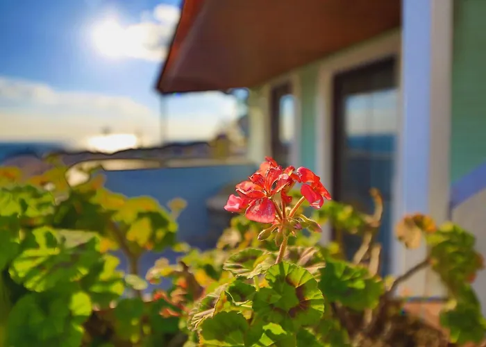 Historia-special Category