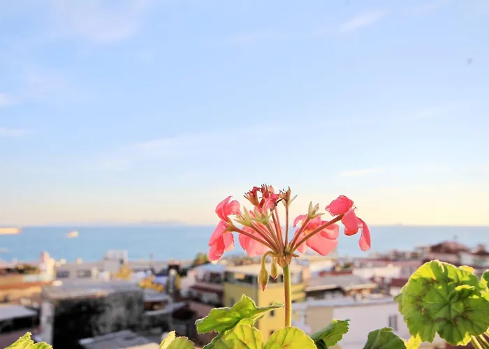 Hotel Historia-special Category